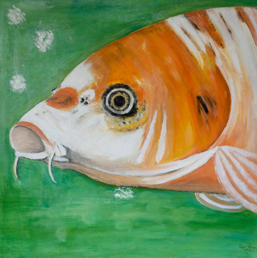 Koi,  Acryl 40x40, Bild Nr. 47