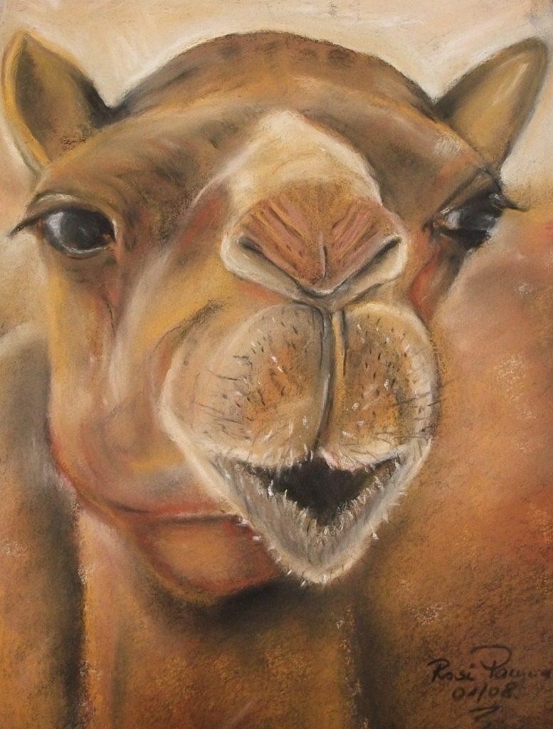 Ohne Worte, Bild Nr. 76 Pastellkreide 30x40